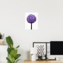 Suche nach allium poster Botanisch