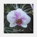 Recherche de orchidées magnets Blanc