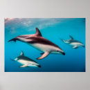 Suche nach kaikoura poster Südinsel