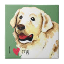 Recherche de bétail carreaux Chien de bétail