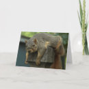 Suche nach nachmittag karten Natur