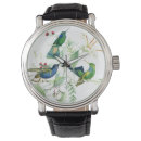 Suche nach kolibri uhren Wild lebende tiere