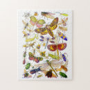 Suche nach gruselig puzzle Insekten