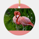 Recherche de flamants roses ornements Toute personne