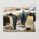 Recherche de oiseaux de noël cartes postales Xmas