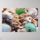 Recherche de coquillages posters Tropical