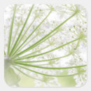 Suche nach gletscher aufkleber Ich