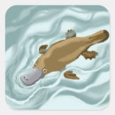 Suche nach platypus aufkleber Niedlich