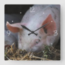 Suche nach lustiges schwein wanduhren Humorvoll