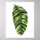 Recherche de botanique antique art Tropical