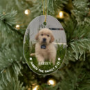Recherche de animaux mignons ornements Chiot