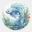 Recherche de bêtas poissons Poisson bêta
