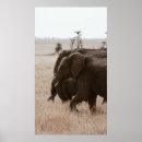 Suche nach elefanten poster Landschaftlich