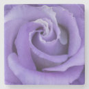 Suche nach lila blumen untersetzer Rose
