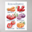 Suche nach tomaten poster Küche