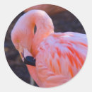Recherche de gracieux autocollants Faune