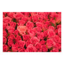 Suche nach osteuropa poster Blume