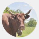 Suche nach verkäufer aufkleber Braun
