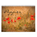 Suche nach rote blumen kalender Flora