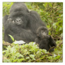 Suche nach mcdonalds fliesen Ruanda