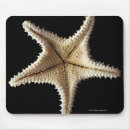 Suche nach totes tier mousepads Starfish