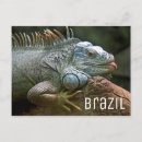 Recherche de brésil cartes postales Jungle
