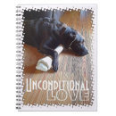 Recherche de os photographie Chien