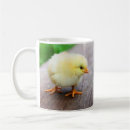 Recherche de petit poussin tasses Mignon