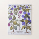 Recherche de racines puzzles Botanique