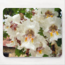 Recherche de haricot tapis souris Fleur