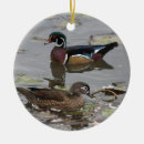 Suche nach wasservogel ornamente Jäger