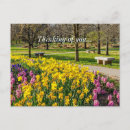 Suche nach rosa hyazinthen postkarten Lila