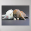 Suche nach netherlands poster Selective focus
