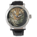 Recherche de tigres montres Sauvage