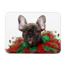 Recherche de de chiot noël cartes Photographie