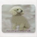 Suche nach pudel mousepads Miniatur