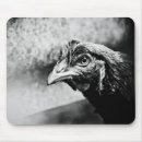 Suche nach schnabel mousepads Kopf