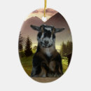 Suche nach molkerei ornamente Weihnachten