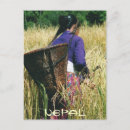 Suche nach nepal postkarten Neffe