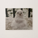 Recherche de minuscule puzzles Photographie