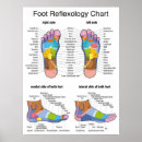 Recherche de méridiens posters Réflexologie