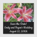 Recherche de stargazer lily invitations Fleurs