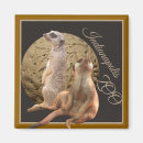 Recherche de animal africain magnets L'afrique