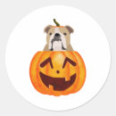 Recherche de bulldogge autocollants Drôle