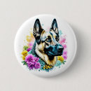 Suche nach schäferhunde buttons Deutscher schäferhund