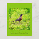 Suche nach rotkehlchen einladungen Natur