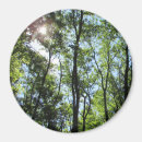Suche nach pinkeln magnete Wald