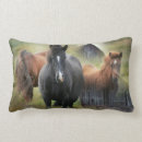 Recherche de beaux chevaux coussins Vintage