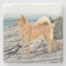 Suche nach finnischer untersetzer Hund