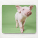Suche nach ferkel mousepads Babytiere